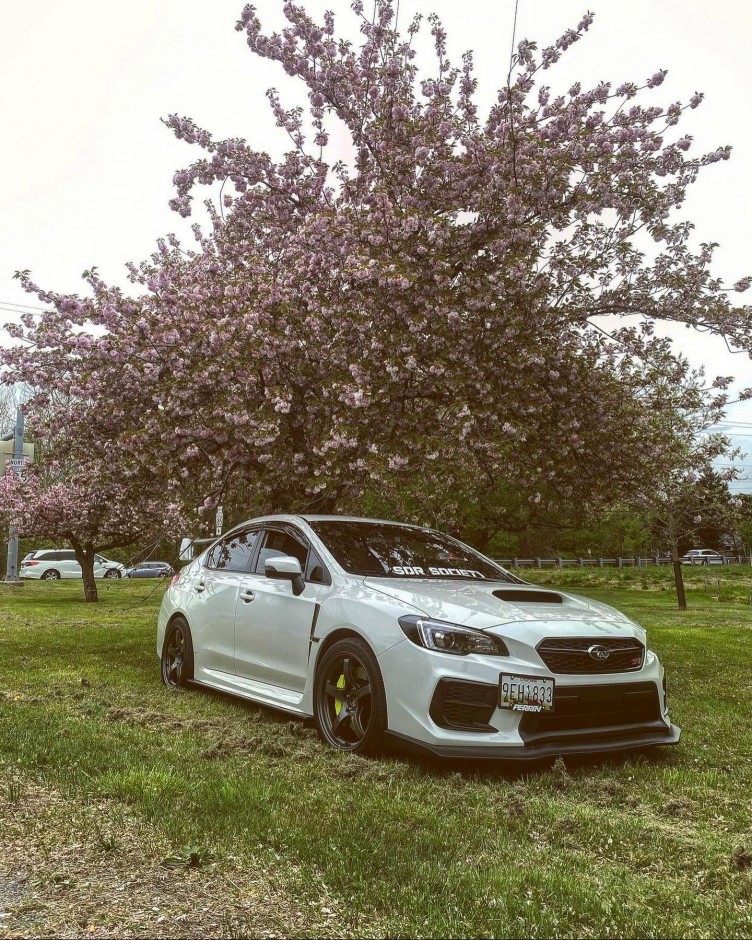 Hector  F  L's 2020 Impreza WRX STI 2.5 Base sti 