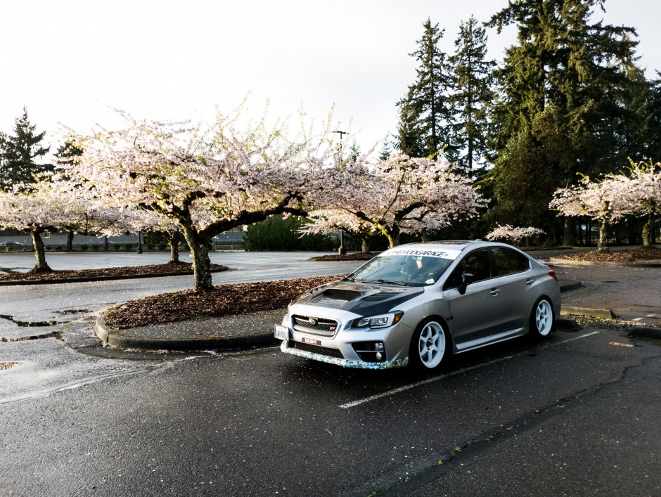 Pedro Morales's 2017 Impreza WRX STI Limited 