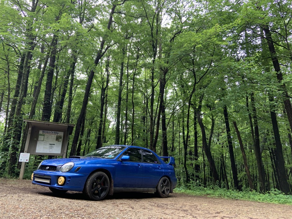 Amanda  Ruffner 's 2002 Impreza WRX 2.0 T 