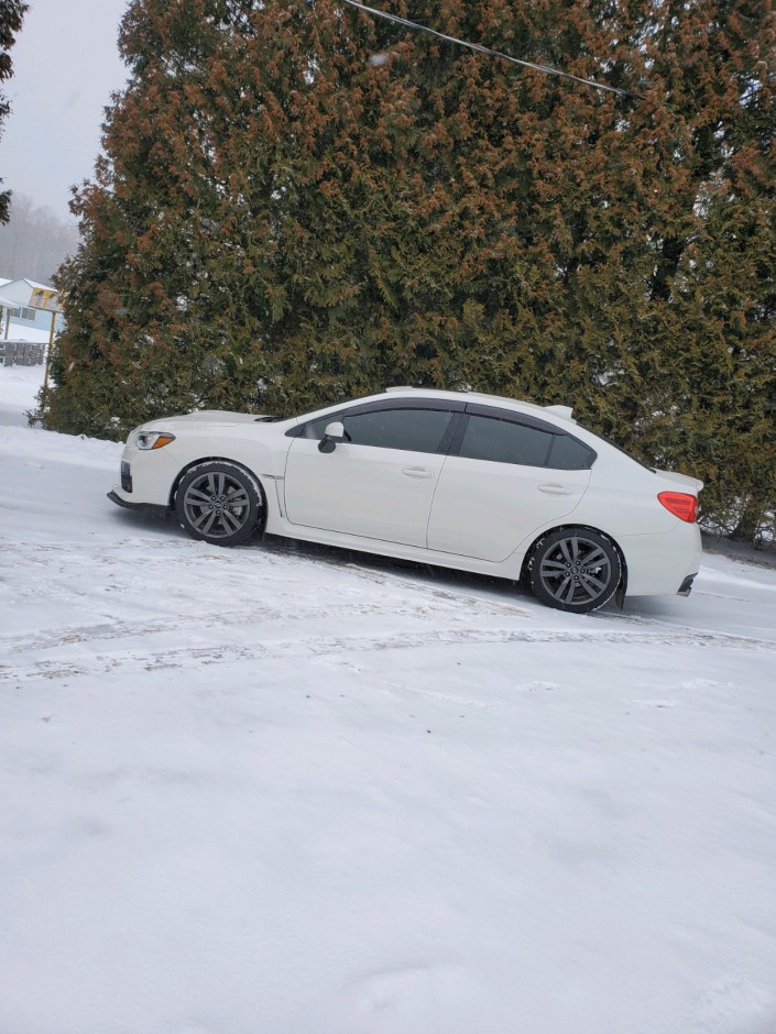 Mariah G's 2017 Impreza WRX Limited