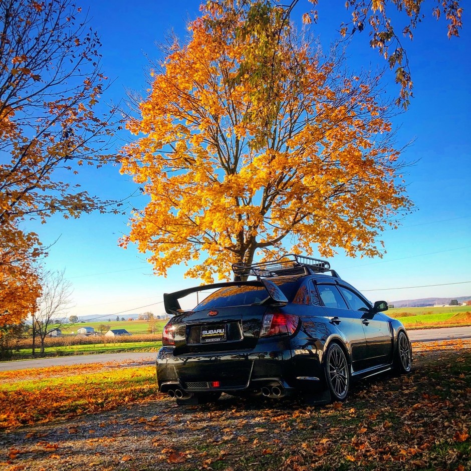 Zachary R's 2012 Impreza WRX 