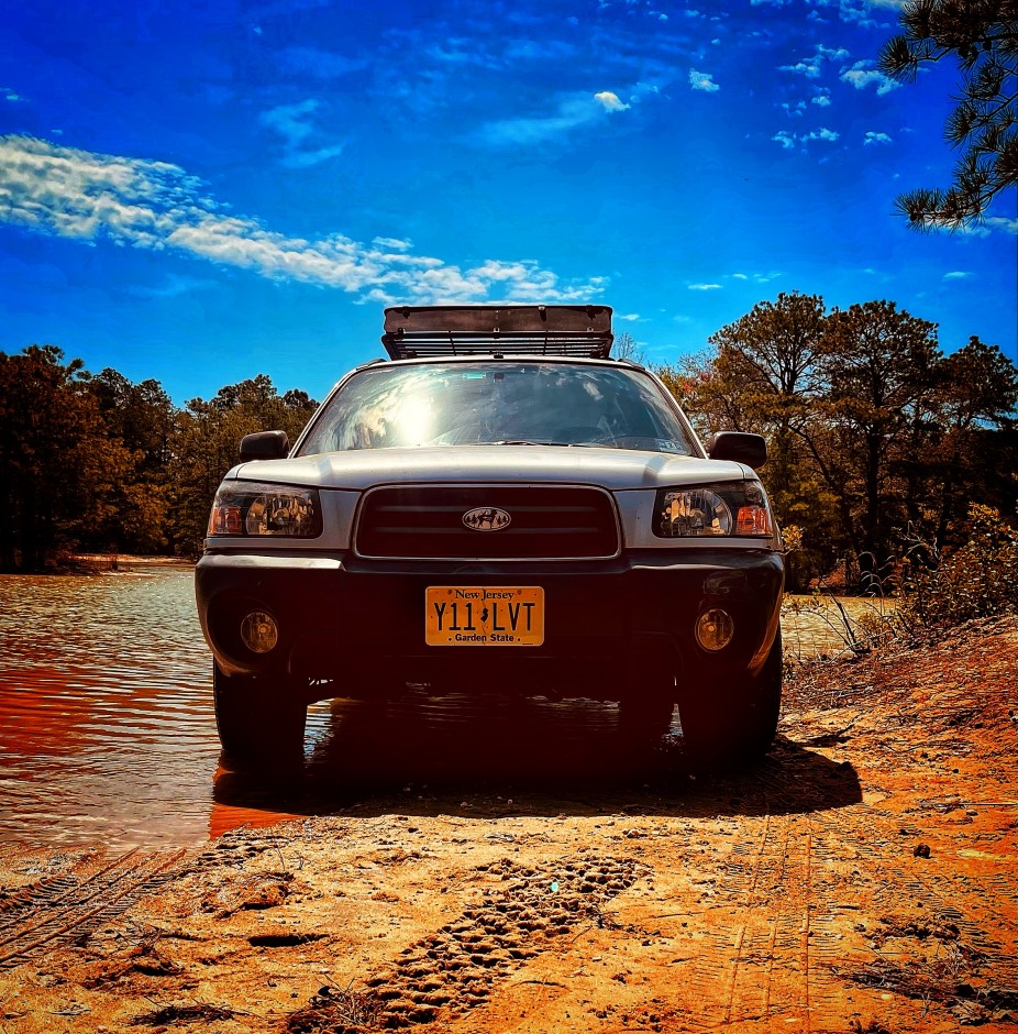 Amberlena Dwyer's 2004 Forester 