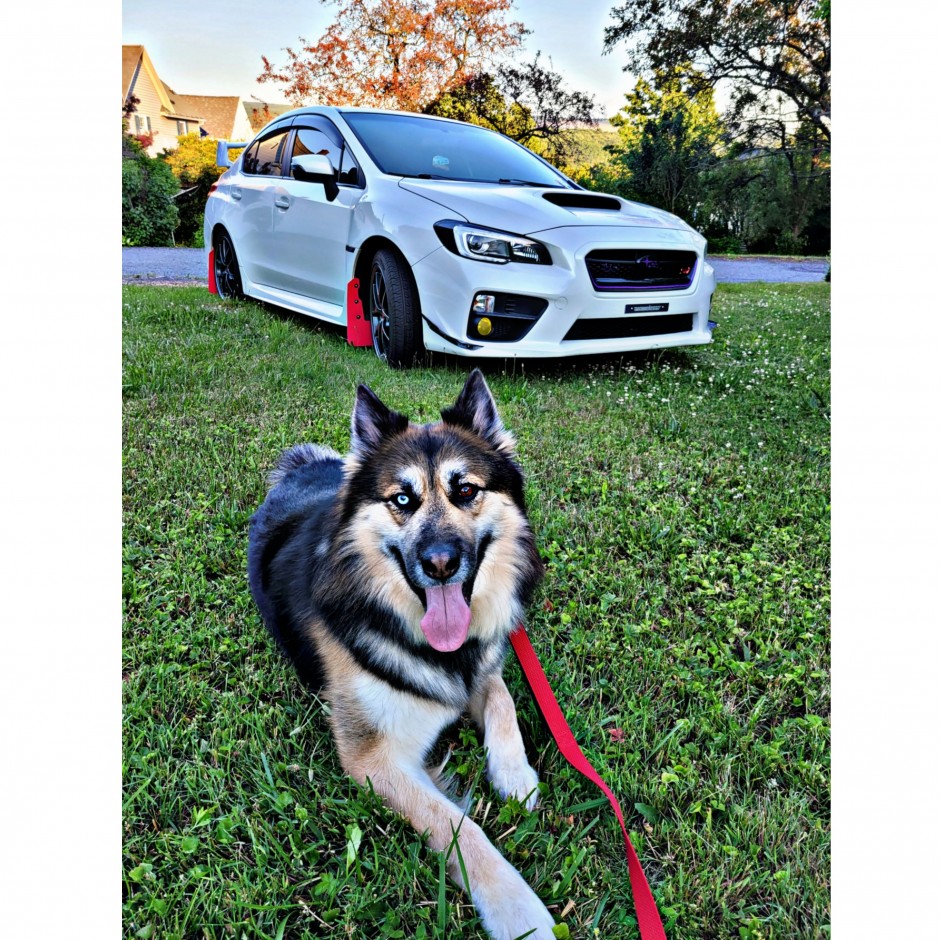 Amber B's 2015 Impreza WRX STI Limited