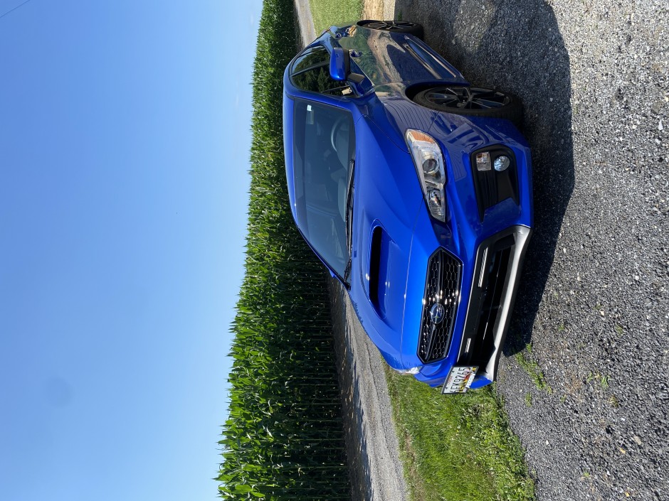Tabitha C's 2021 WRX Premium
