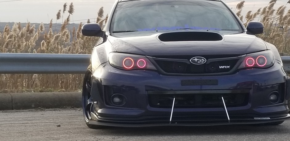 Laura Rudy's 2013 Impreza WRX Premium