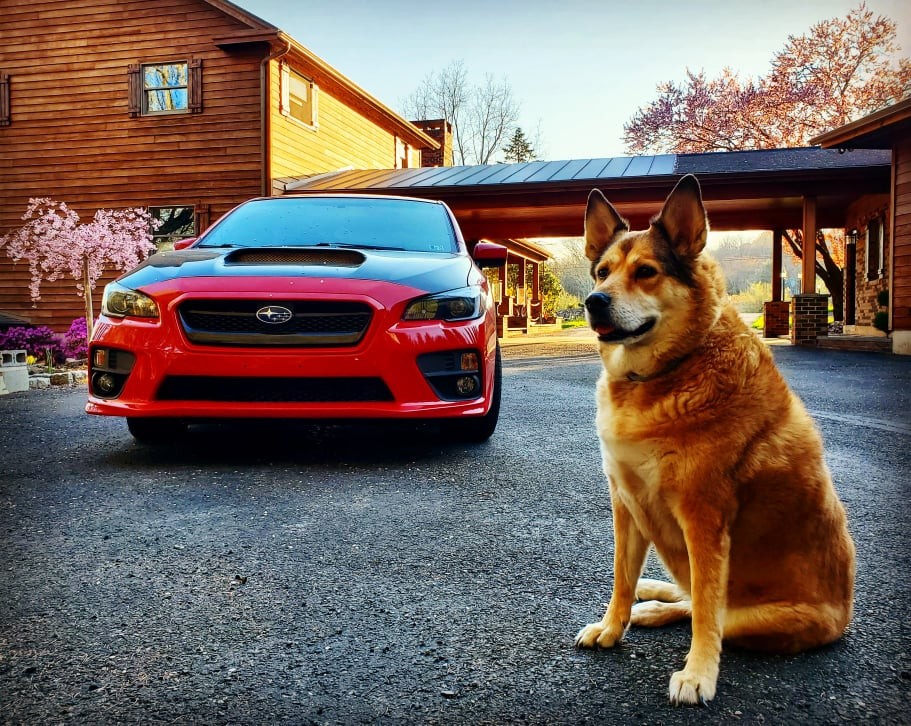 Monica Shea's 2017 Impreza WRX Base