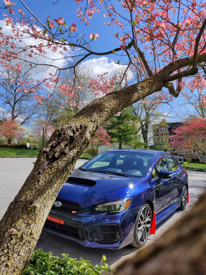 Heidi M's 2020 Impreza WRX STI Limited