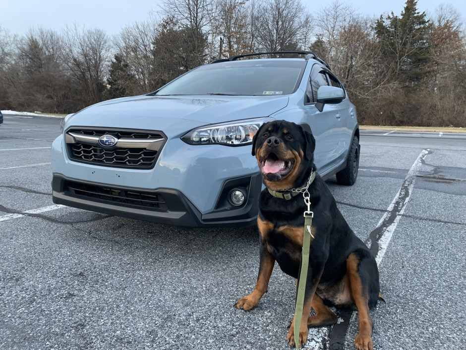 Merissa B's 2019 Crosstrek Premium 