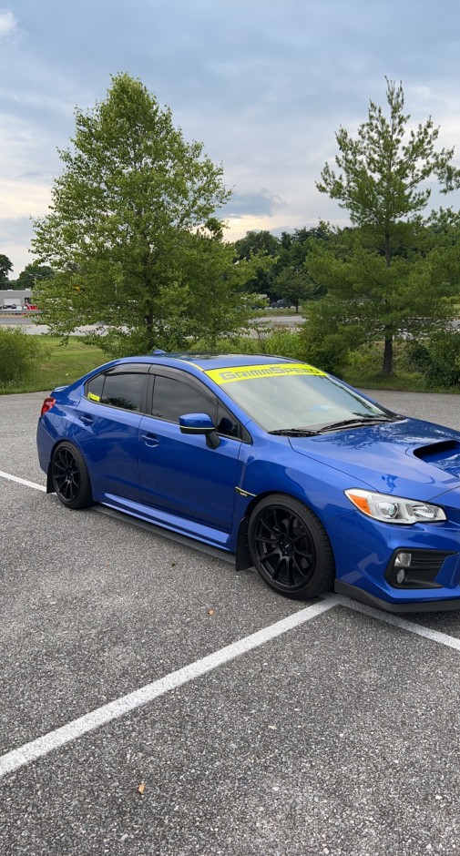 Austin Bear's 2021 Impreza WRX Premium 