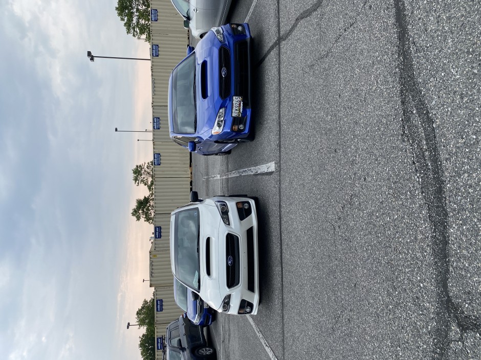 Tabitha C's 2021 WRX Premium