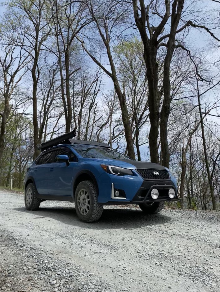 Deana D's 2016 Crosstrek Premium 