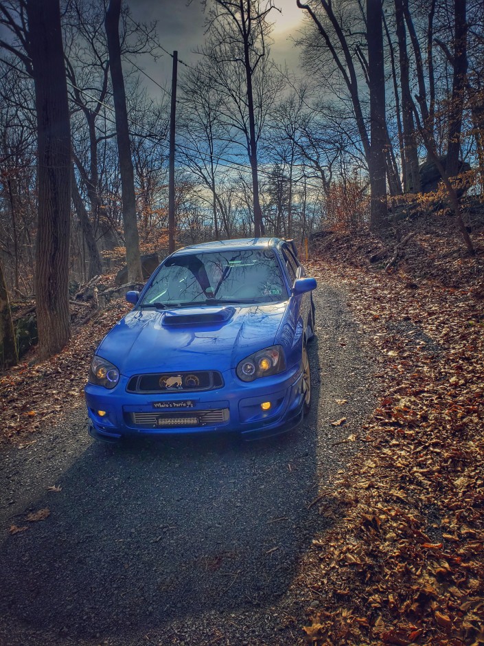 Roger W's 2004 Impreza WRX 