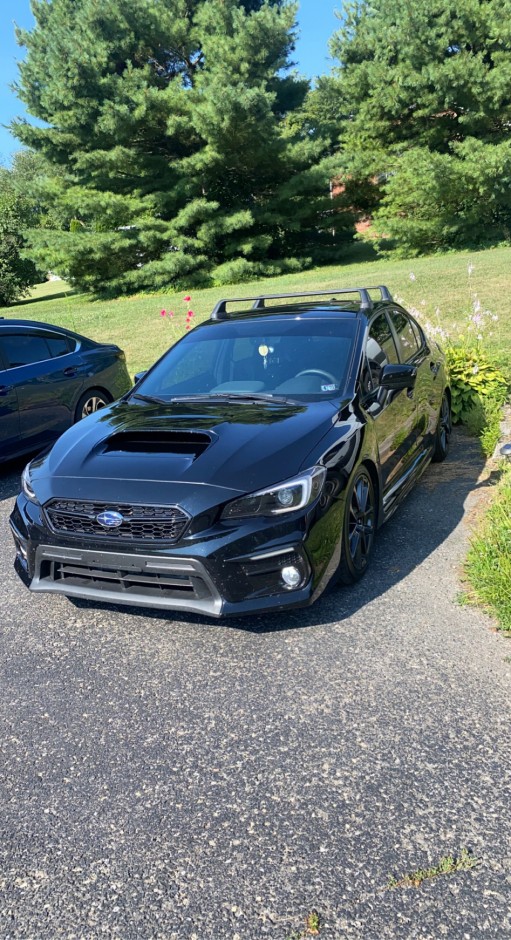 Eve Propst's 2021 Impreza WRX premium 