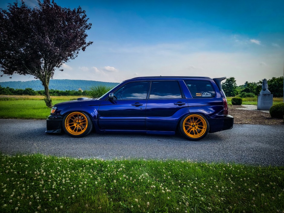 Mike Albert's 2004 Forester Xt