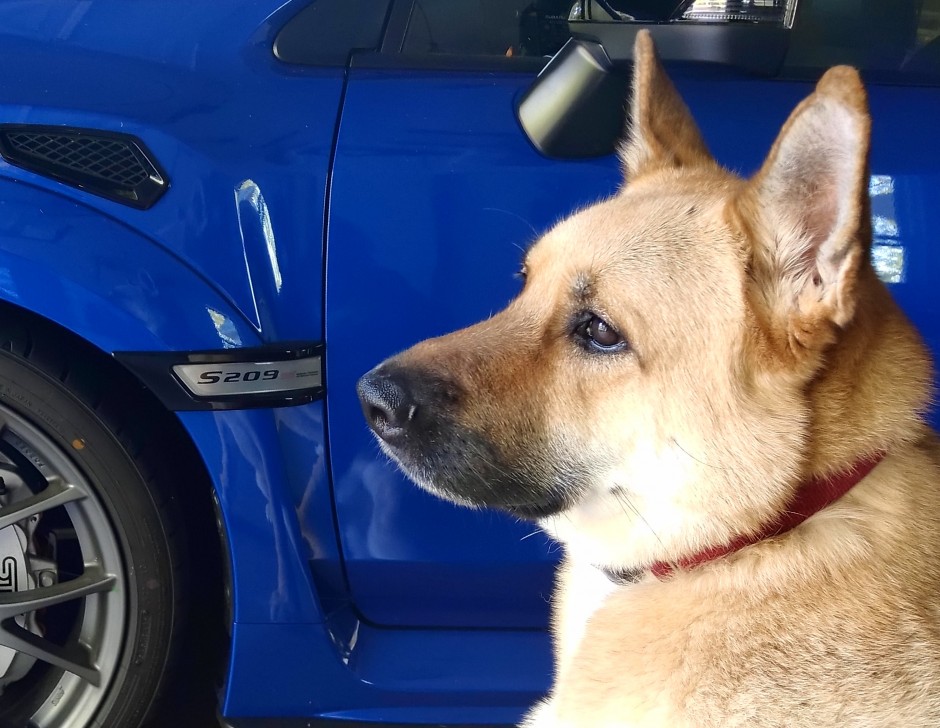 Efraim  Ramirez's 2019 Impreza S209