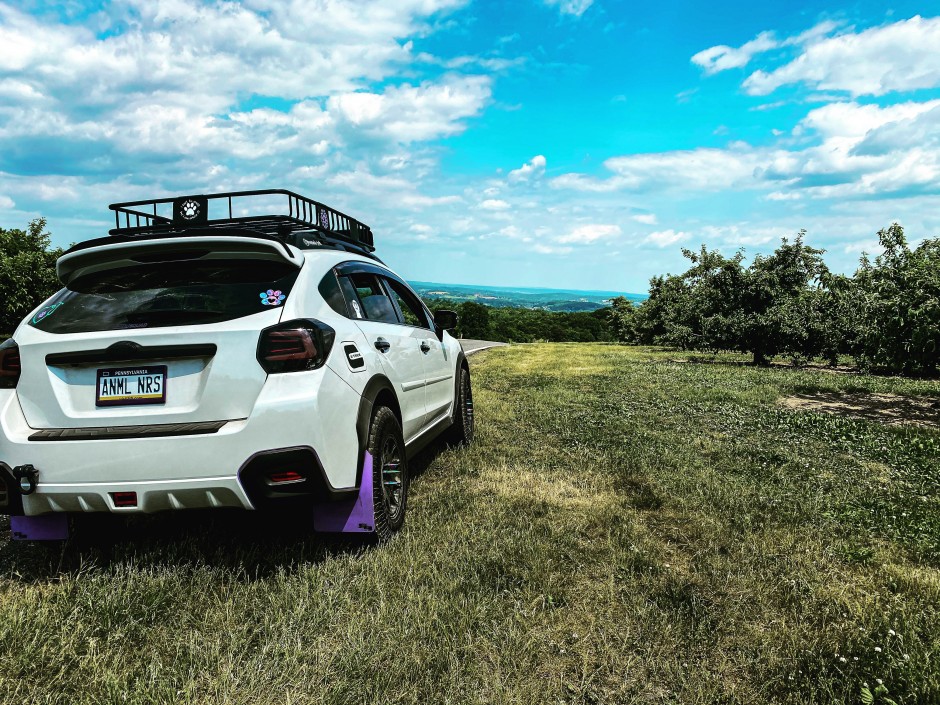 Lisa Burick's 2016 Crosstrek Limited 