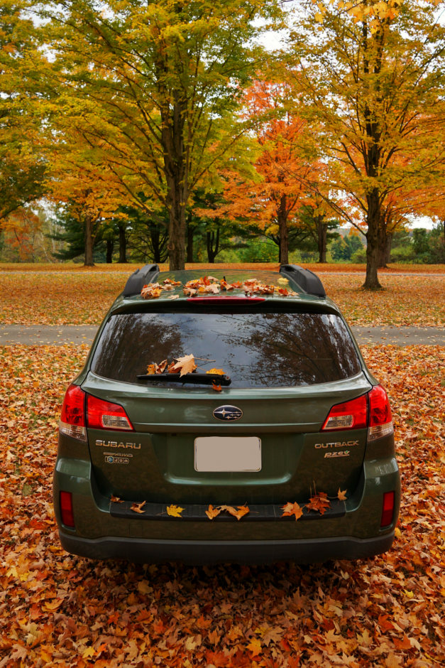 Nina H's 2011 Outback 2.5i Limited