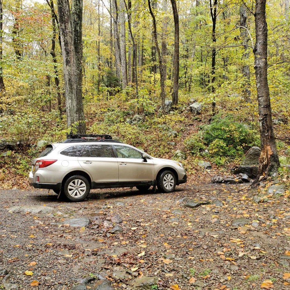 Tatiana C's 2015 Outback 2.5Premium