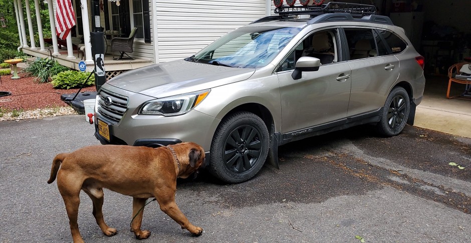 Tatiana C's 2015 Outback 2.5Premium