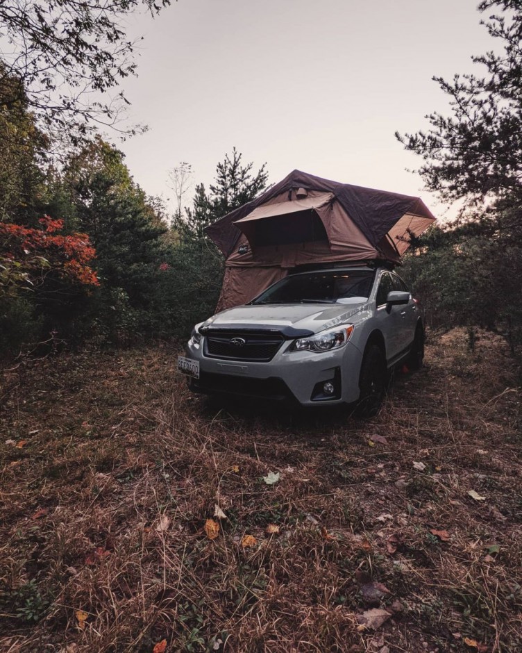 Michael M's 2017 Crosstrek Premium