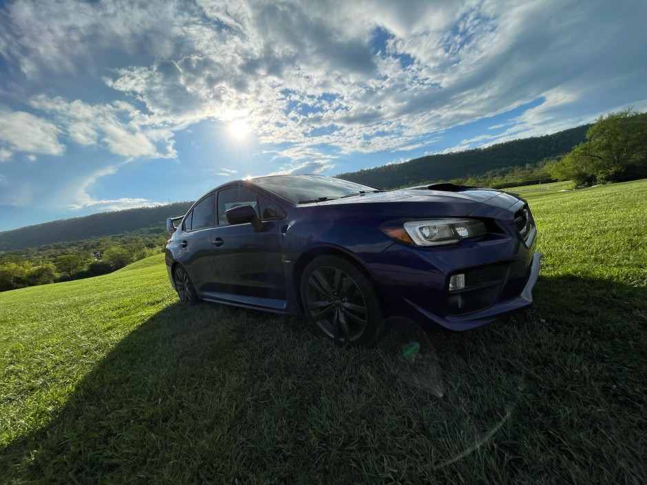 brooke B's 2016 Impreza WRX Limited 