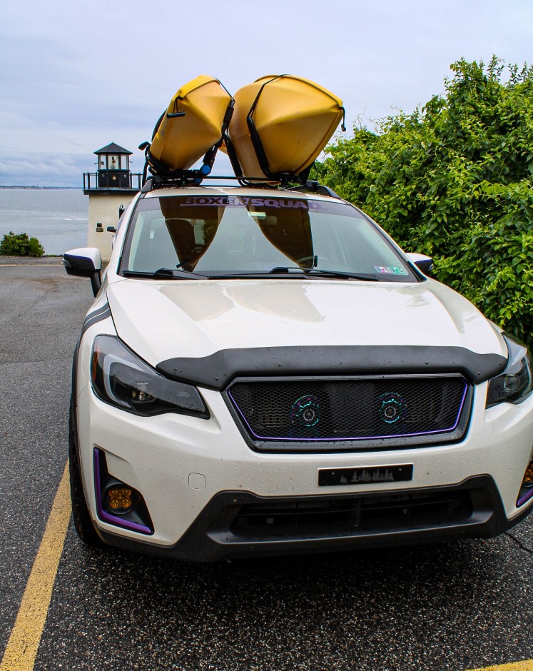 Lisa Burick's 2016 Crosstrek Limited 