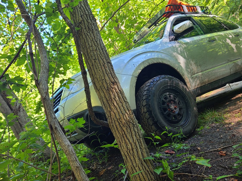 Ethan J's 2010 Forester L