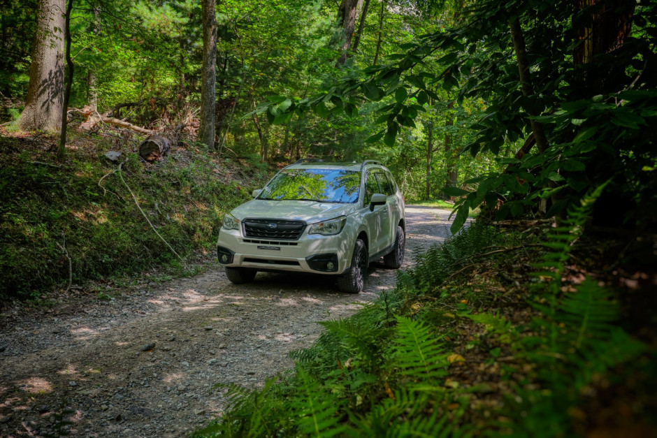 Justin S's 2017 Forester 2.5i Premium