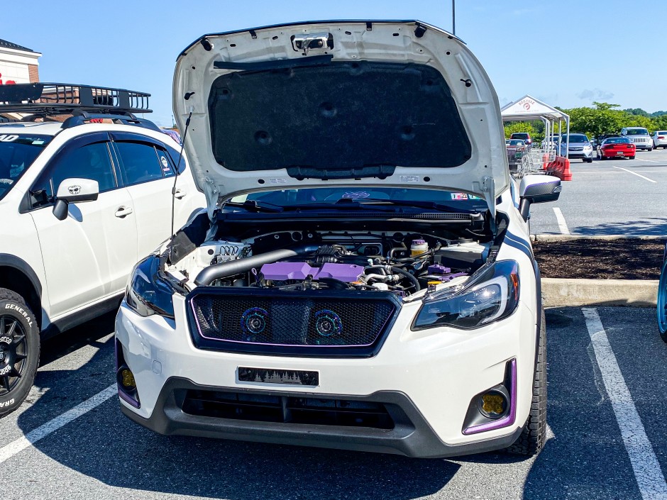 Lisa Burick's 2016 Crosstrek Limited 