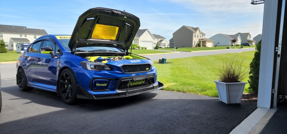 Andrew S's 2019 Impreza WRX STI Base