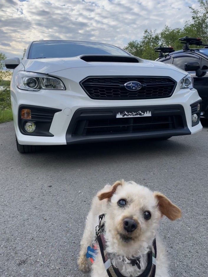 Ashli S's 2019 Impreza WRX Base