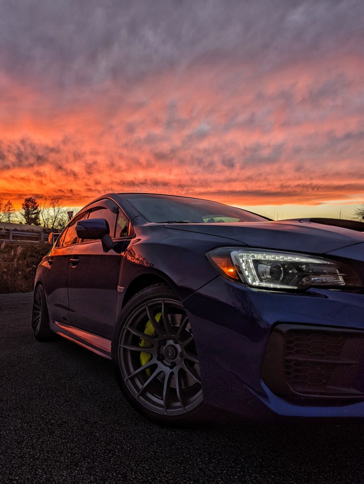 Heidi M's 2020 Impreza WRX STI Limited