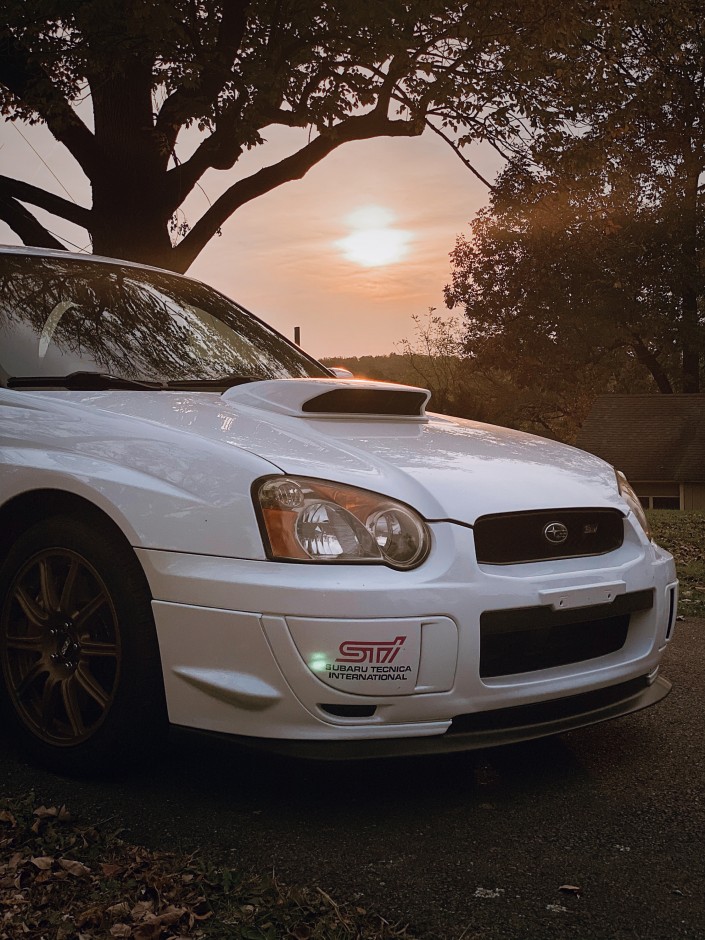 Danielle L's 2004 Impreza WRX STI 