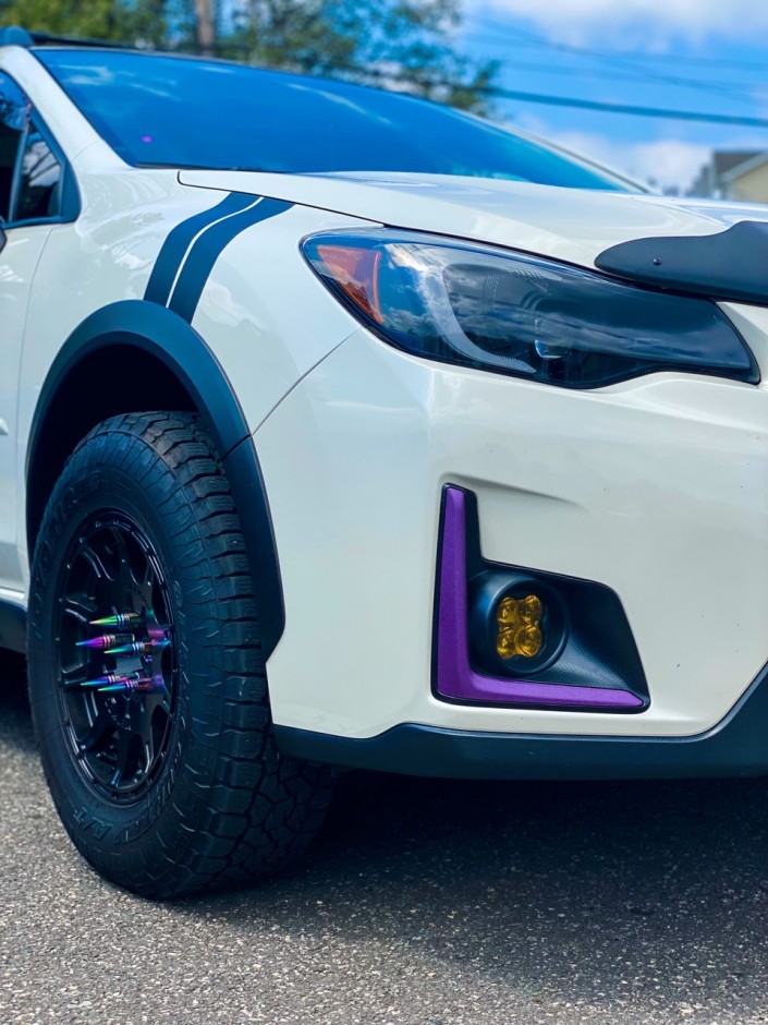 Lisa Burick's 2016 Crosstrek Limited 