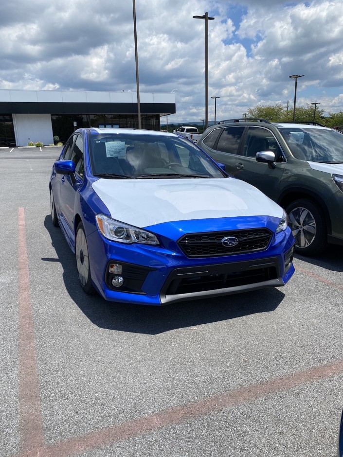 Tabitha C's 2021 Impreza WRX Premium