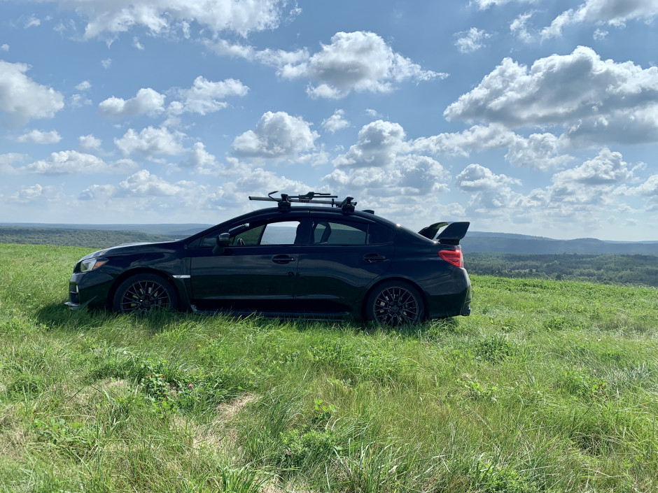 Alison S's 2015 Impreza WRX STI Limited