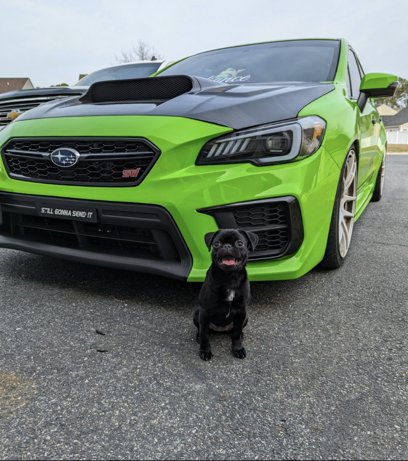 Kelsey Whitney's 2021 Impreza WRX STI Base