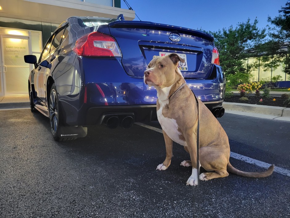 Benjamin B's 2020 Impreza WRX Base