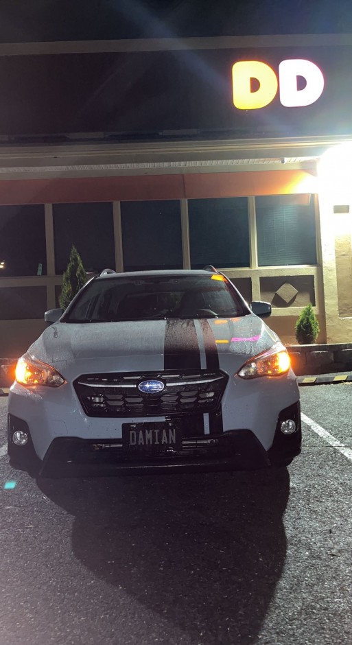 Lilianna D's 2019 Crosstrek 2.0i Premium 