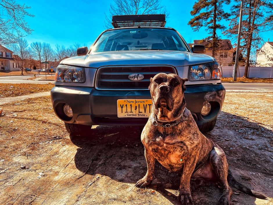 Amberlena Dwyer's 2004 Forester 