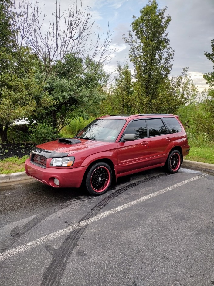 David F's 2004 Forester Xti