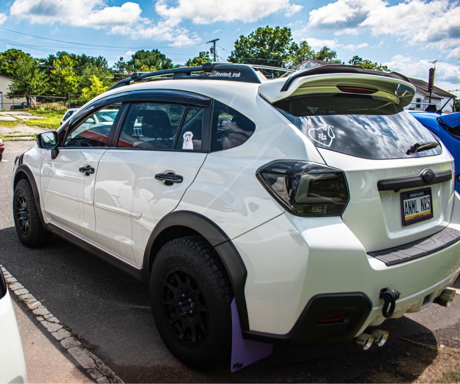 Lisa Burick's 2016 Crosstrek Limited 