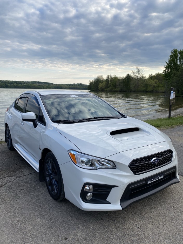 Ashli S's 2019 Impreza WRX Base