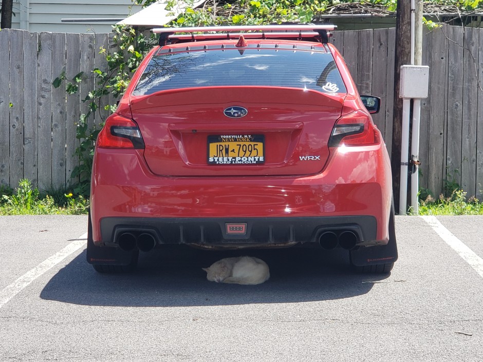 Colton S's 2018 Impreza WRX Premium