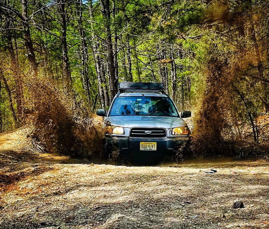 Amberlena Dwyer's 2004 Forester 