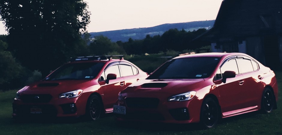 Colton S's 2018 Impreza WRX Premium