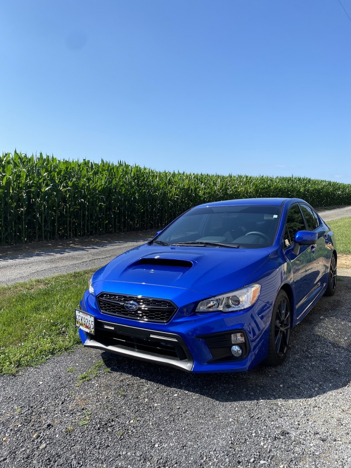 Tabitha C's 2021 Impreza WRX Premium