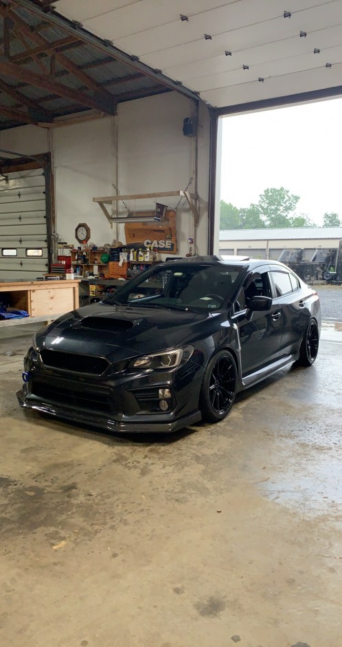 Craig G's 2019 Impreza WRX Premium 