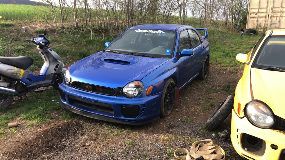 Mark Taylor's 2002 Impreza WRX Wrx 