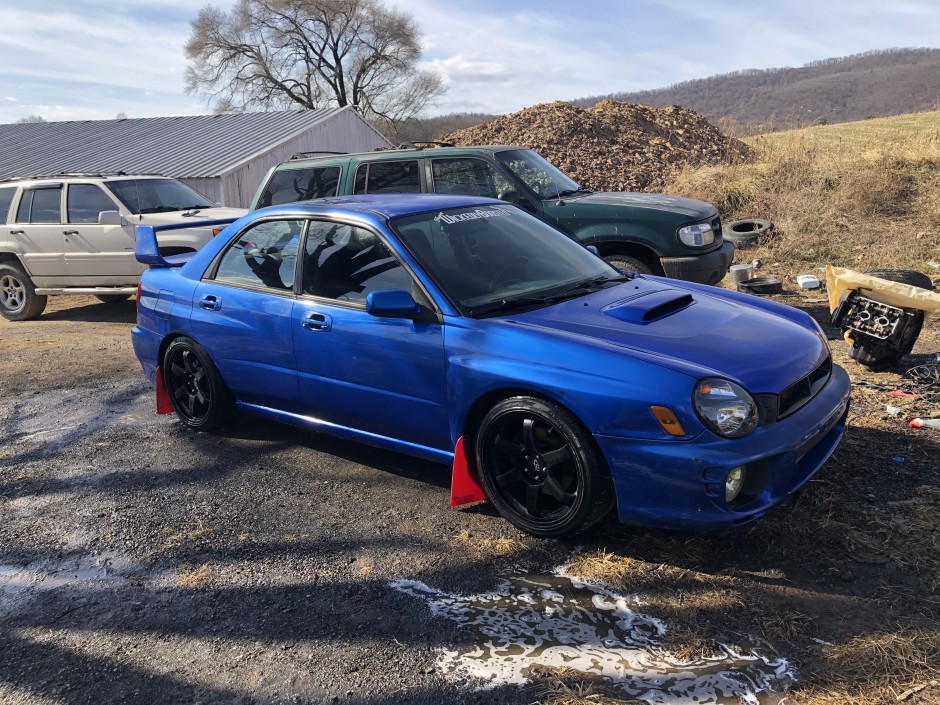 Mark Taylor's 2002 Impreza WRX Wrx 